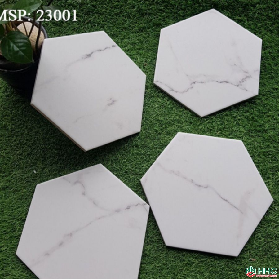 Gạch lục giác đẹp 23001